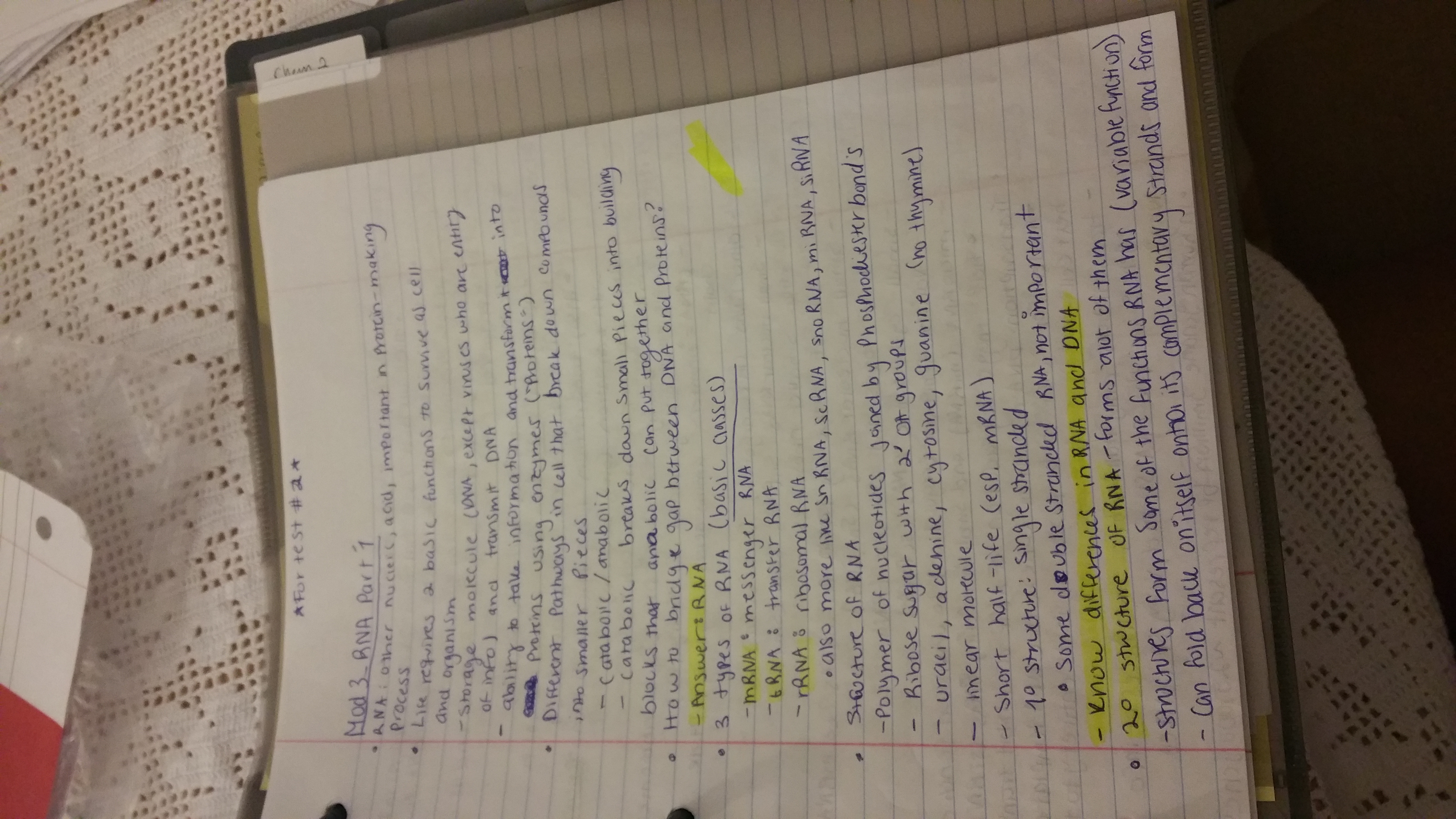 Week #5 notes