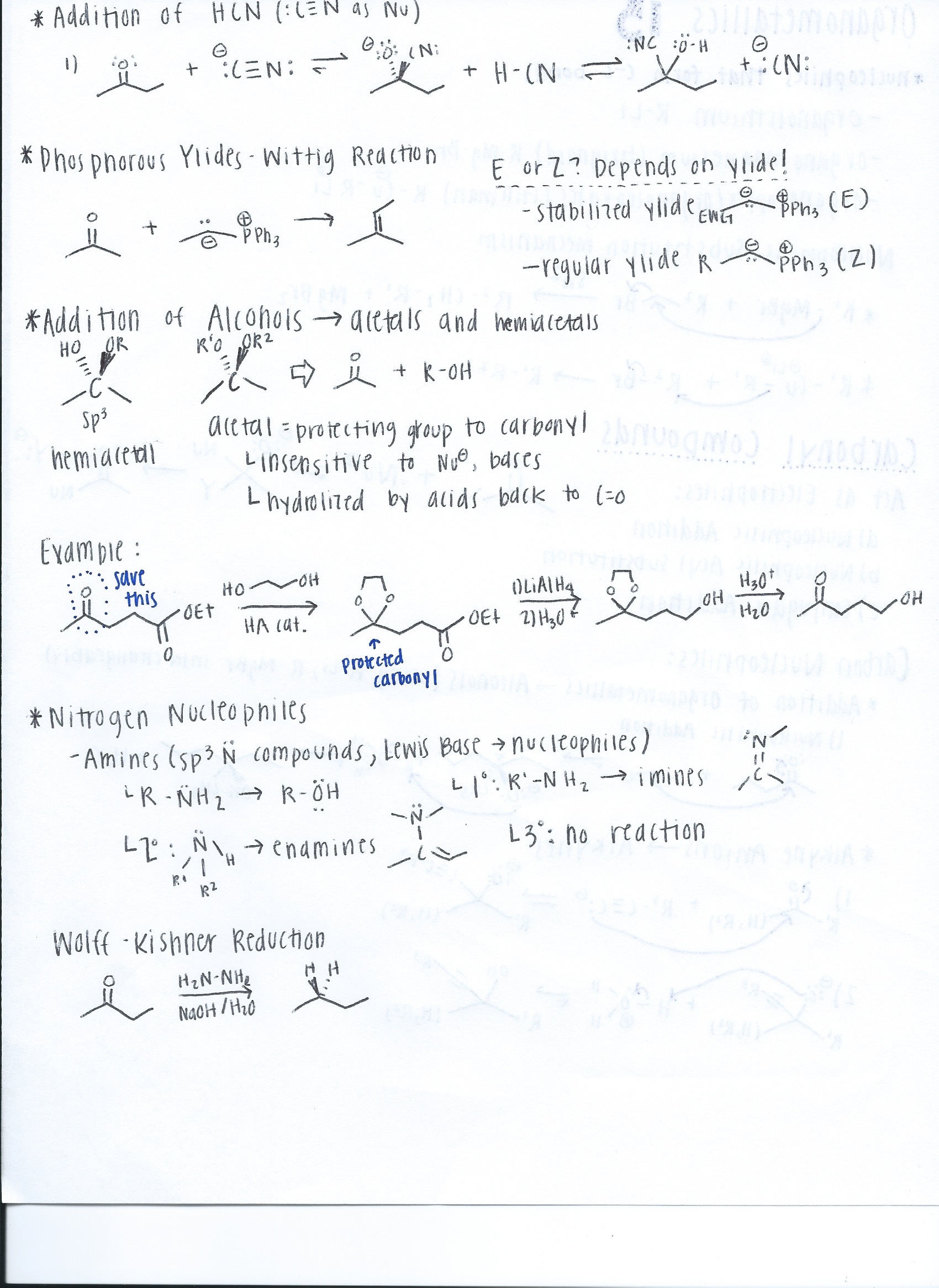 FINAL Study Guide