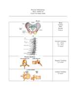 Anth 110 Exam 2 Study Guide