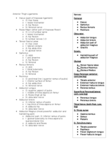 Notes of Anterior Thigh Ligaments 