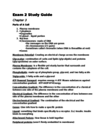 Anatomy and Physiology Exam 2 Study Guide