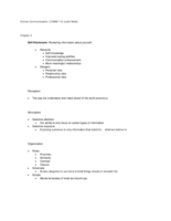 Human Communication - Chapter 4