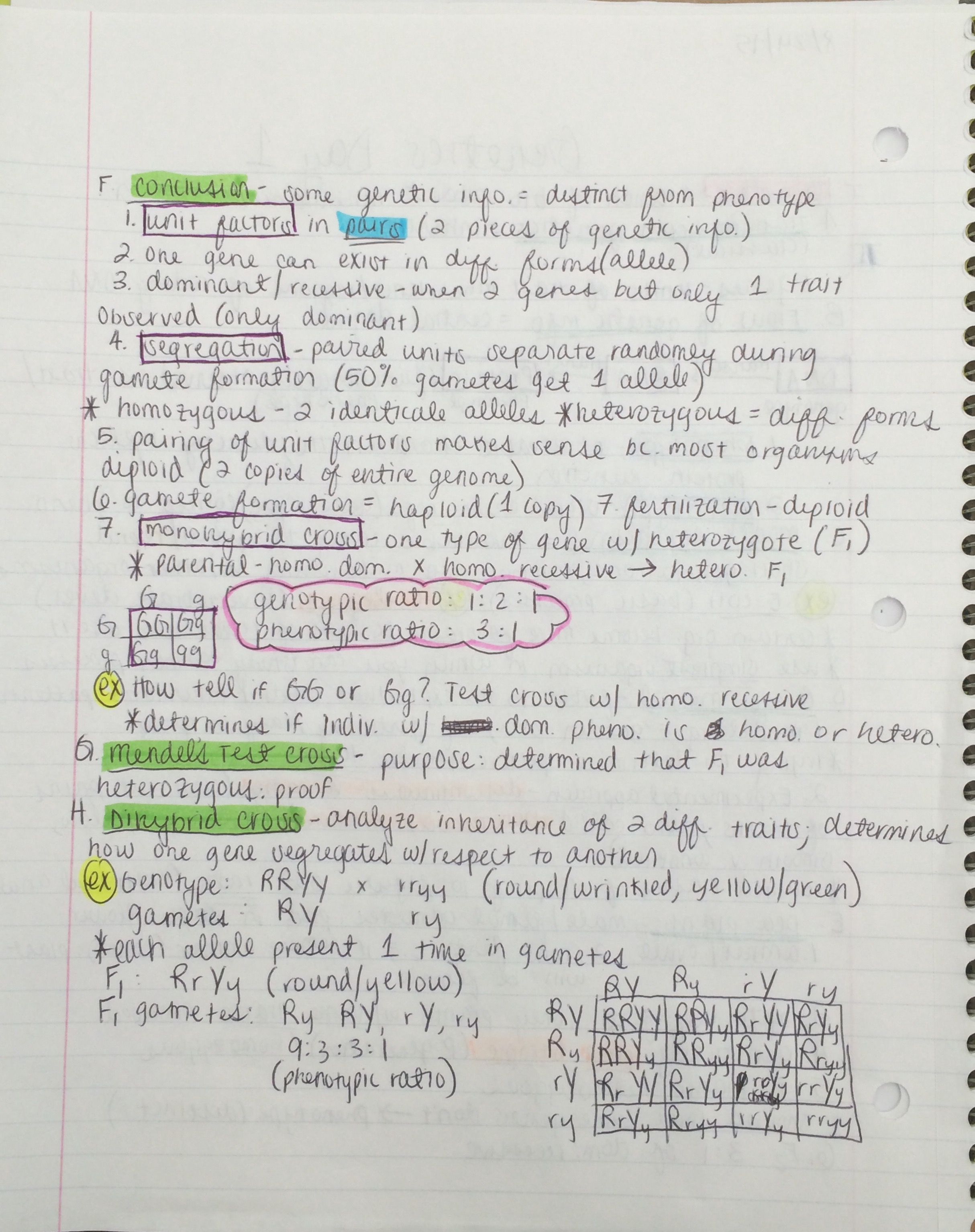 BIOL 3301 UH: Genetics | StudySoup