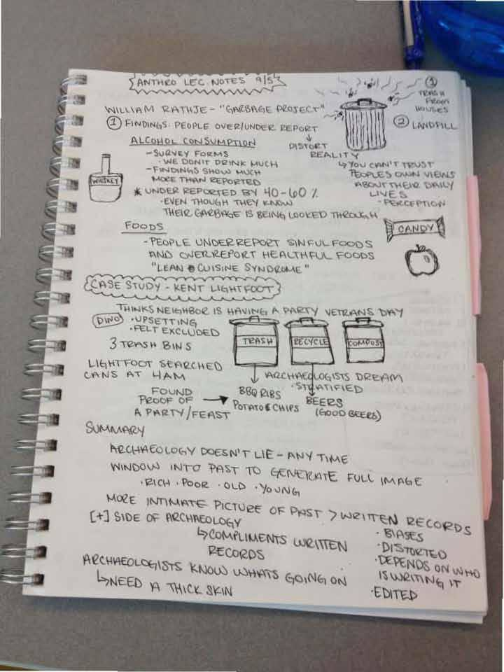 Introduction to Archaeology