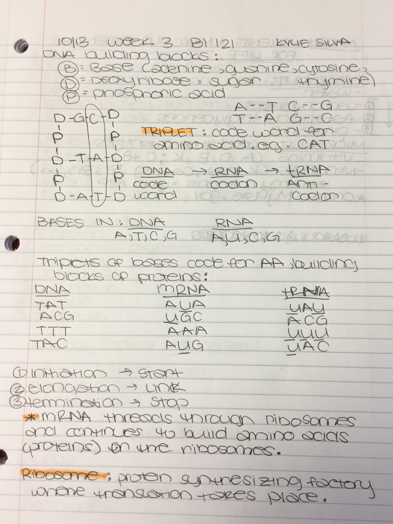  BI 121 week 3 lecture notes 10/13 and 10/15