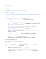 NeuronsOutline