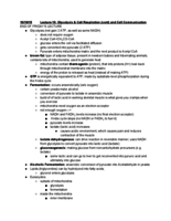 Week 4 LS2 Notes