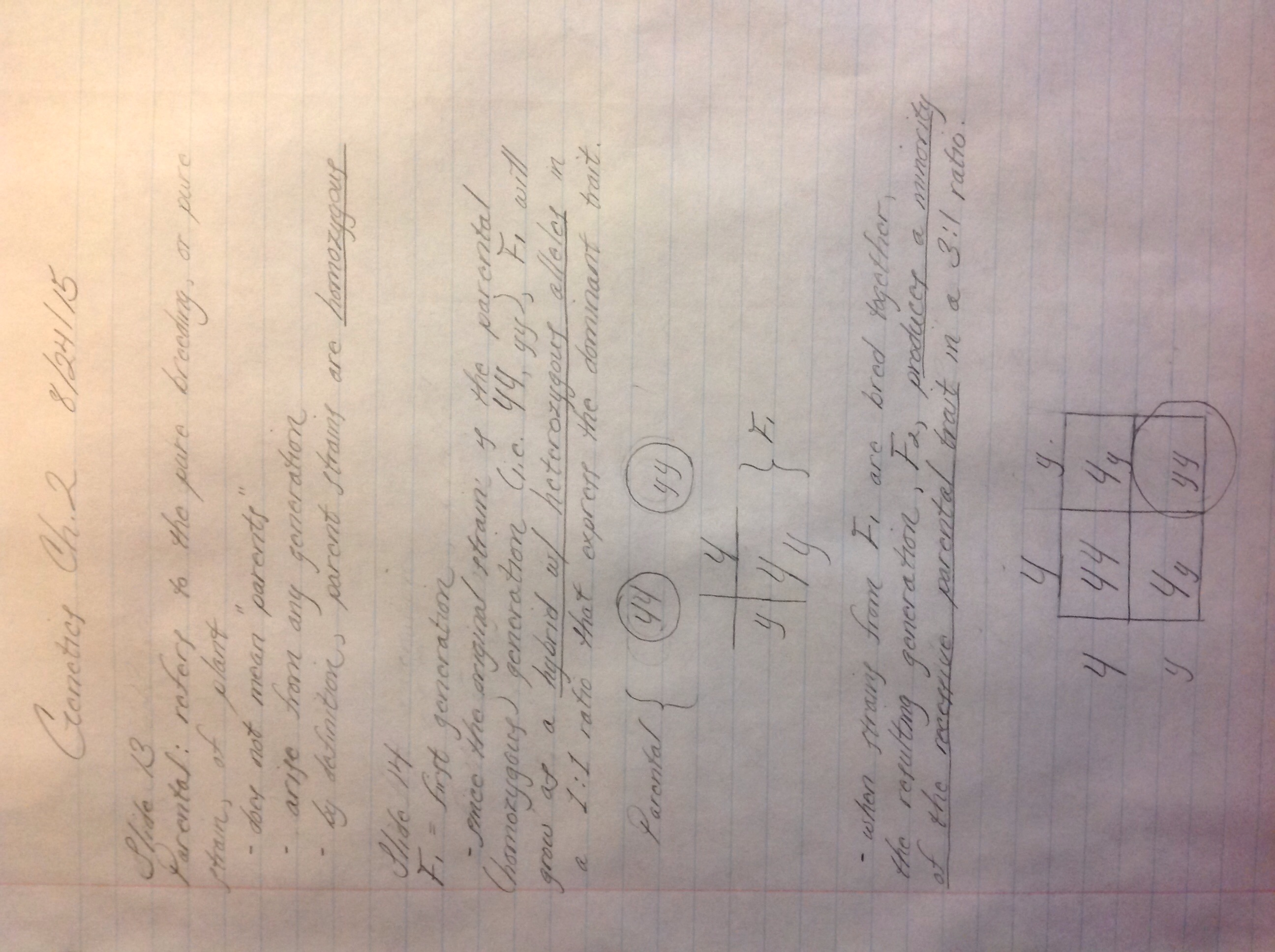 Genetics Ch.2 8/24/15