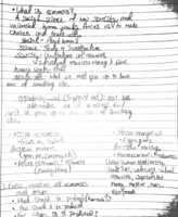 General Notes