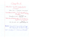 Macroeconomics - Chapter 6