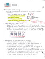 Fininshing up cell immortality and apoptosis