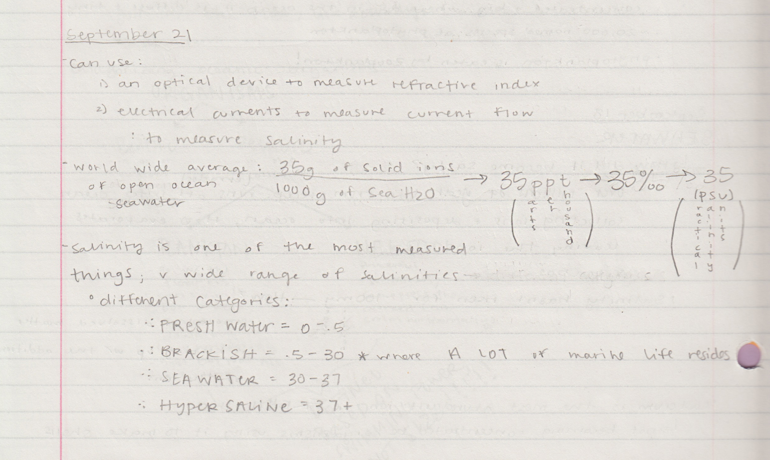 Week Four Notes
