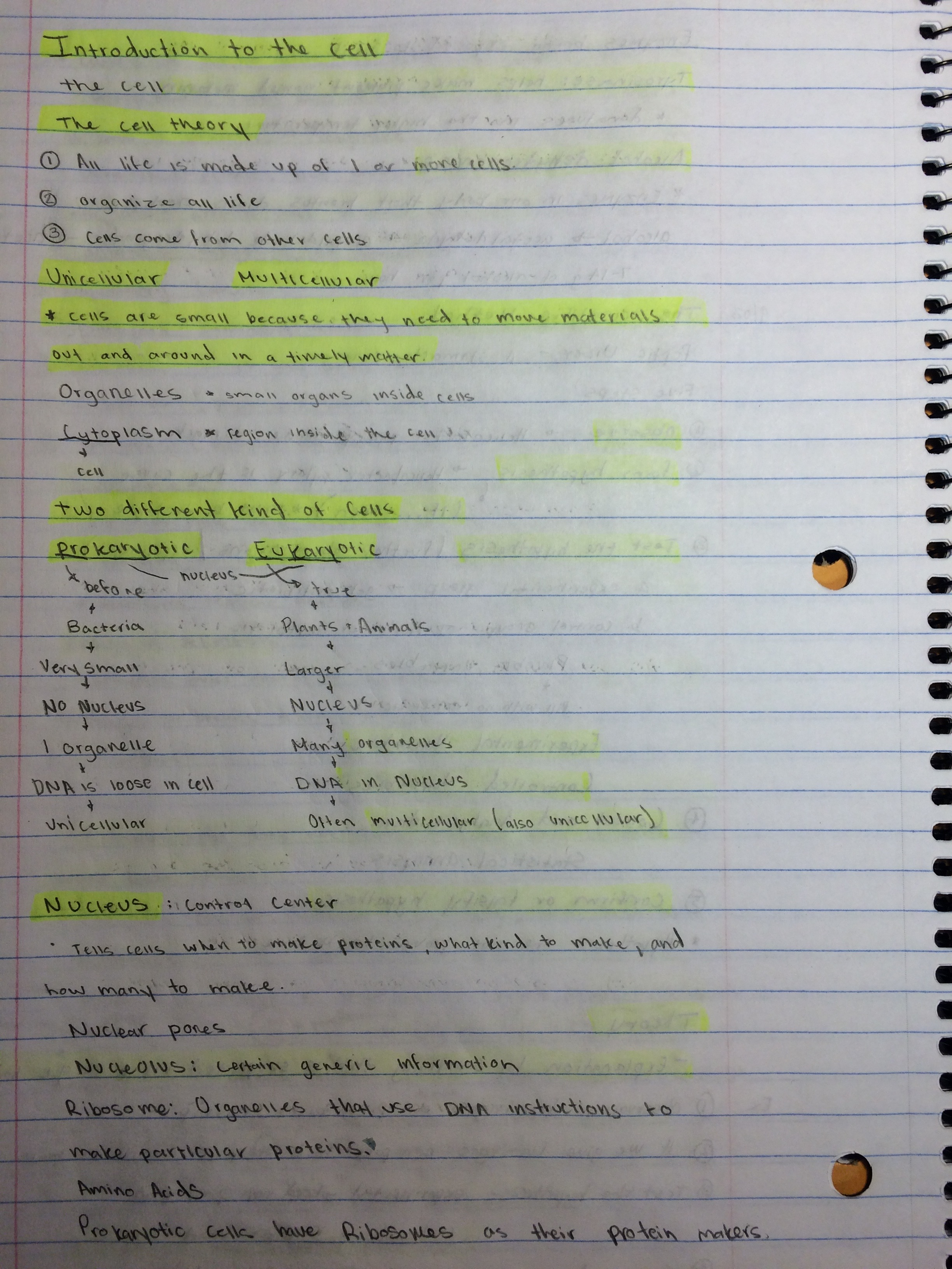 Week 3 Notes