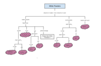 Flow chart for Quantitative analysis Lab