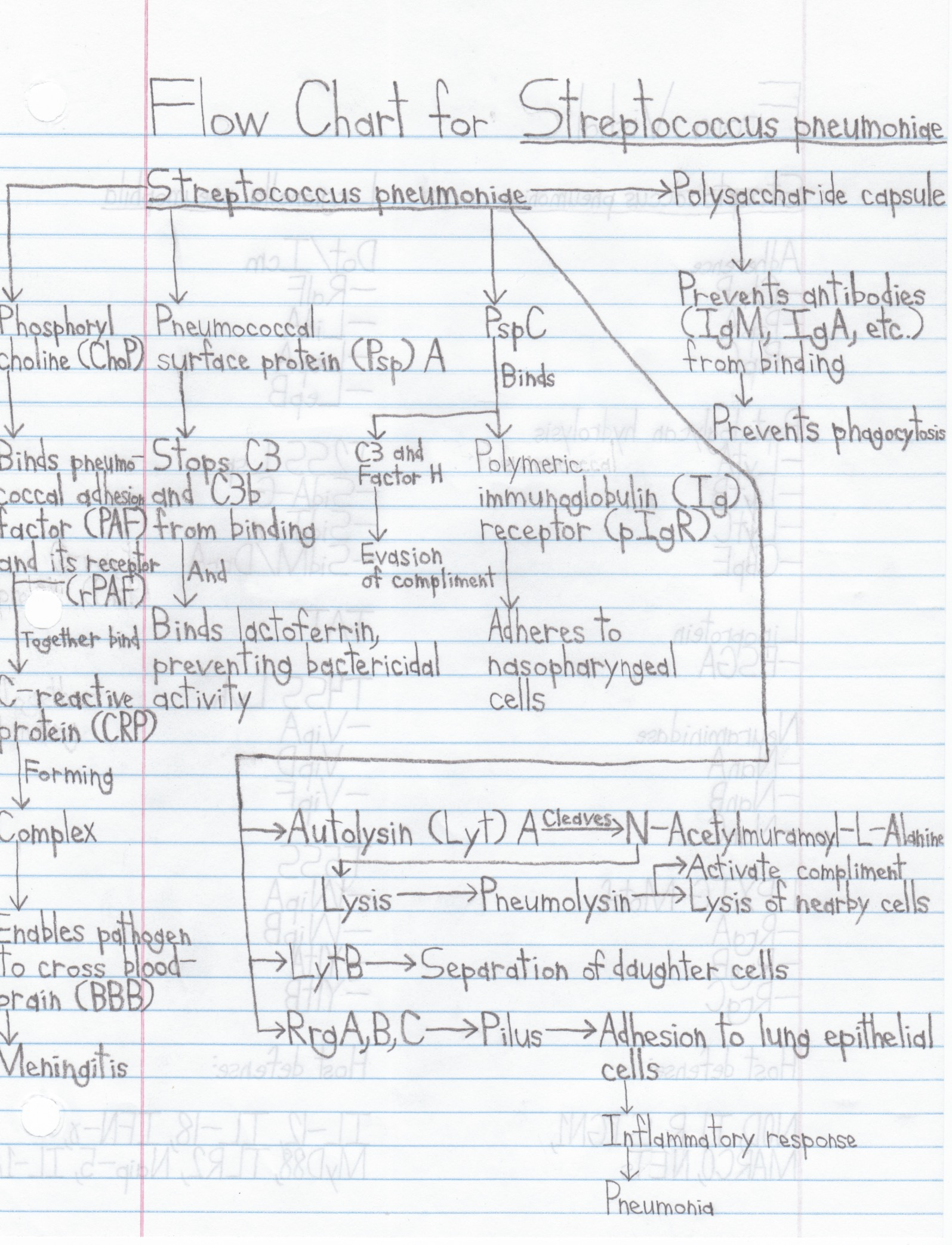 First 12 Days of November