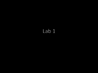 lab 1