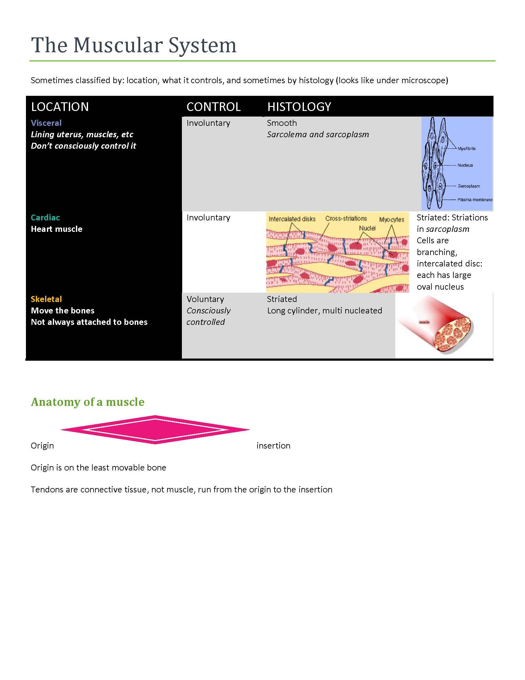 Human Biology