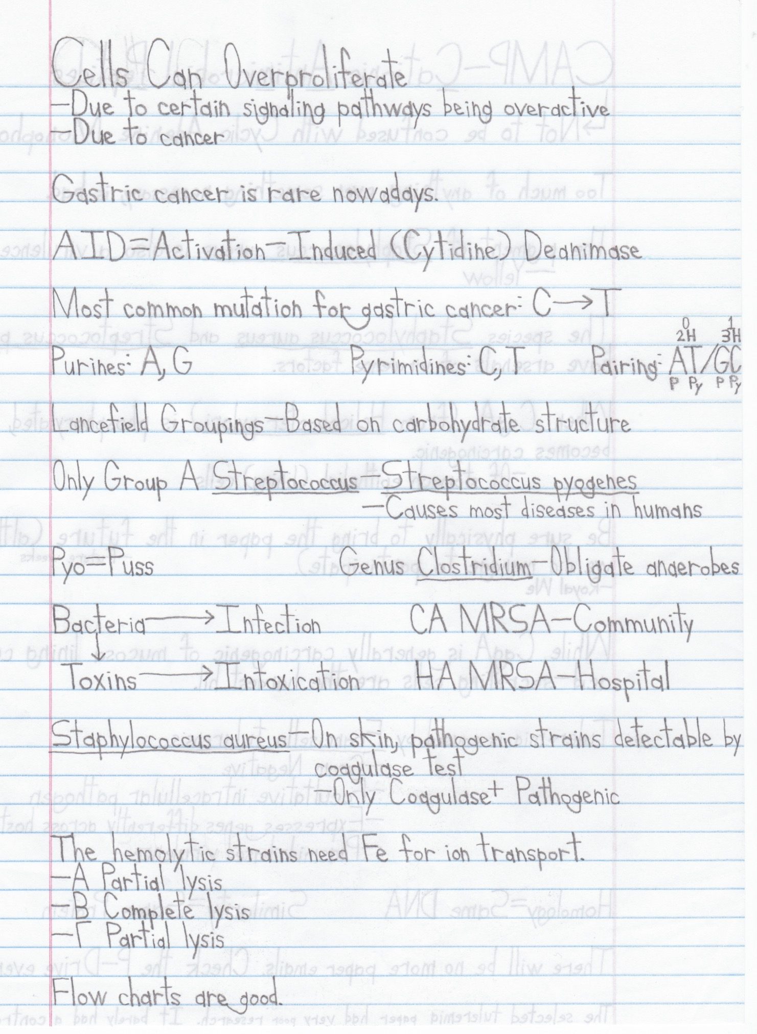 Notes 2