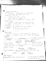 Study Guide for Midterm 1