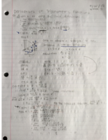 Week 5 - Calculus I