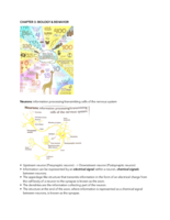 Chapter 3: Biology & Behavior