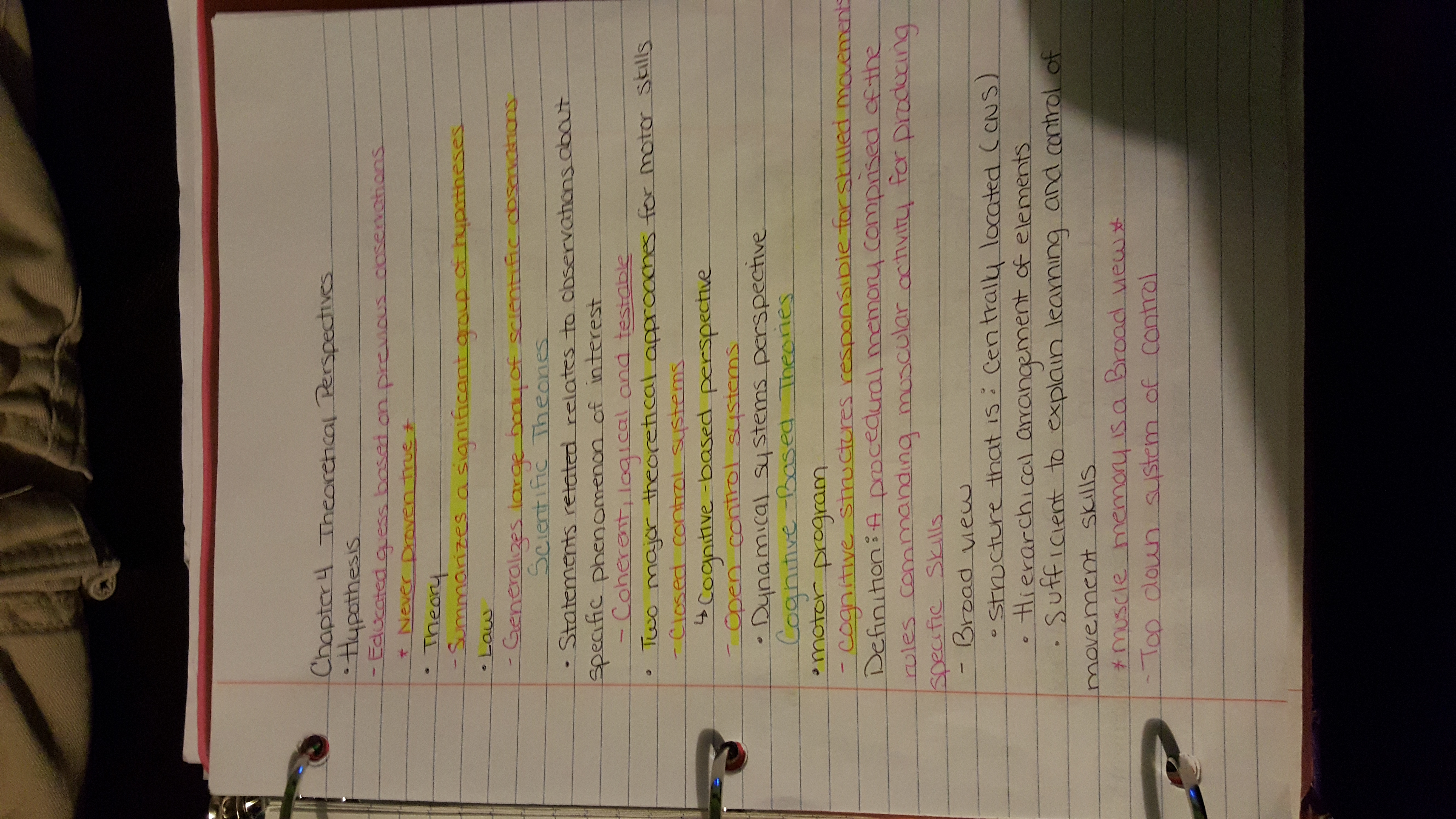 chapter 4 Theoretical Prespectives 