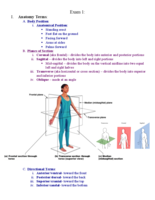 Human Anatomy Lab Exam 1