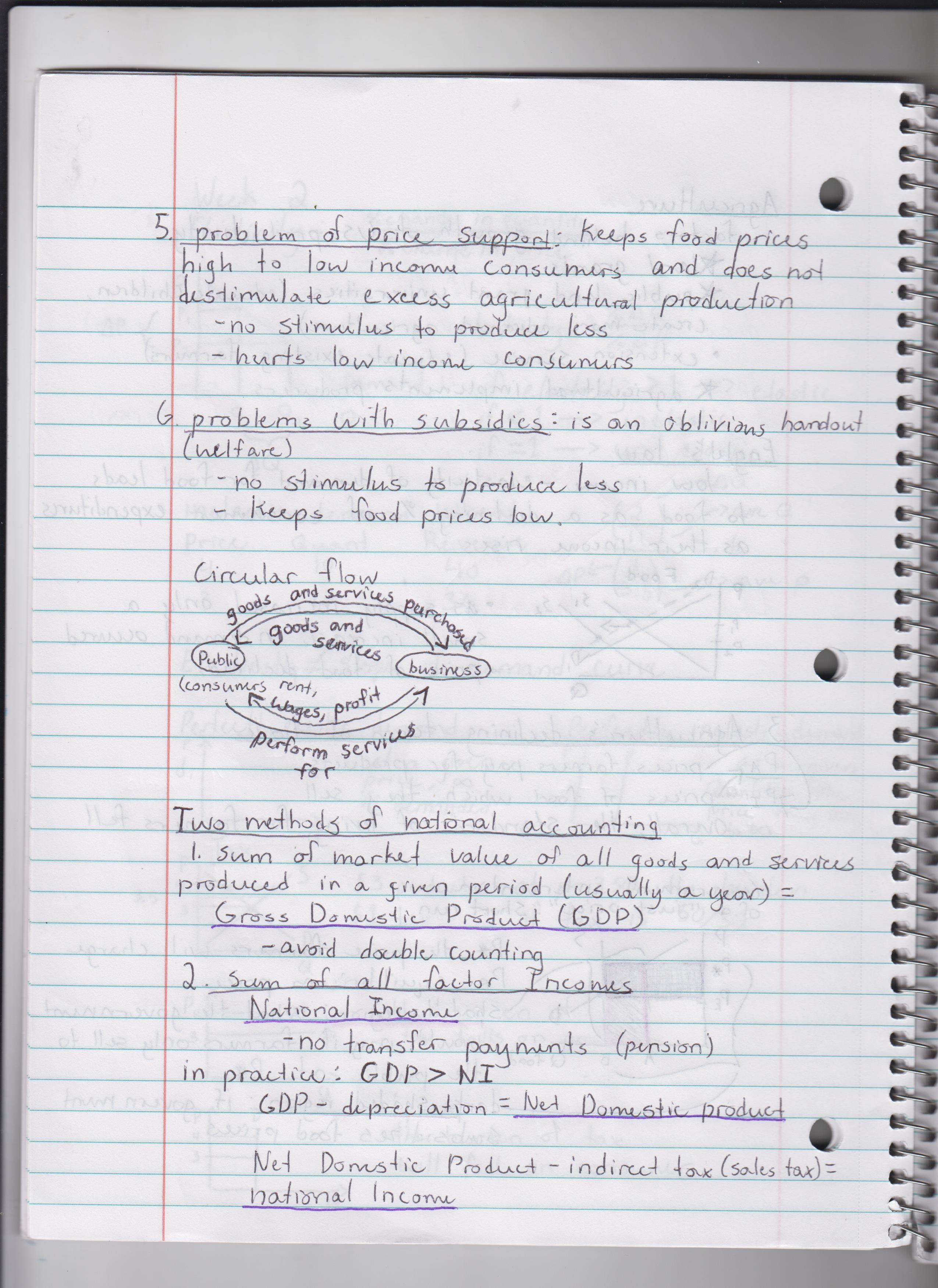 Macro econ Complete Lecture Notes: Week 2