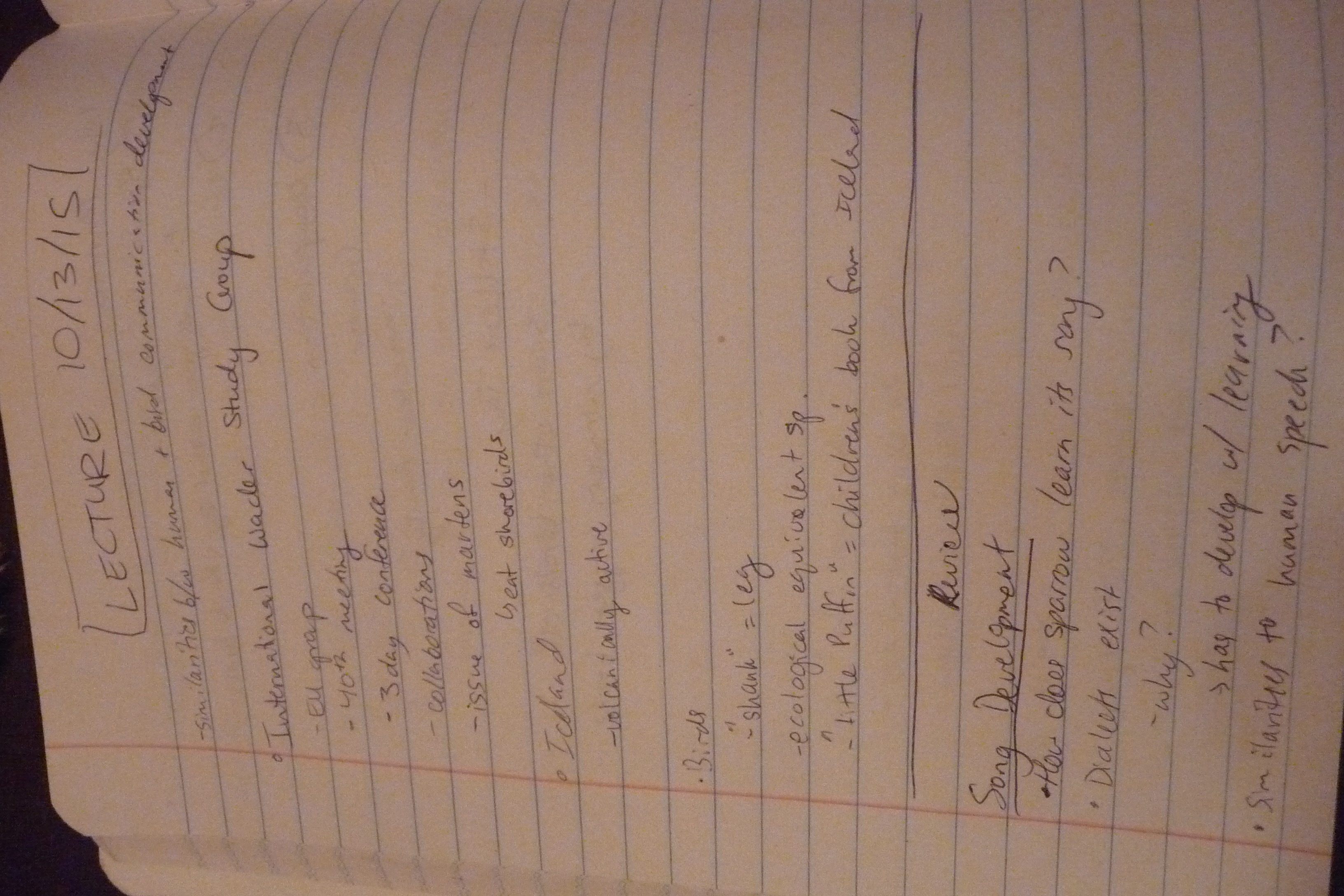 Week #8 Notes