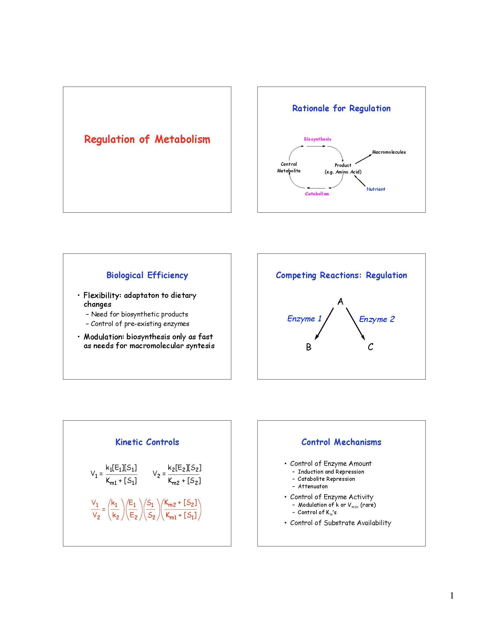 Biochemistry Introduction to Structure, Enzymes, and Metabolism