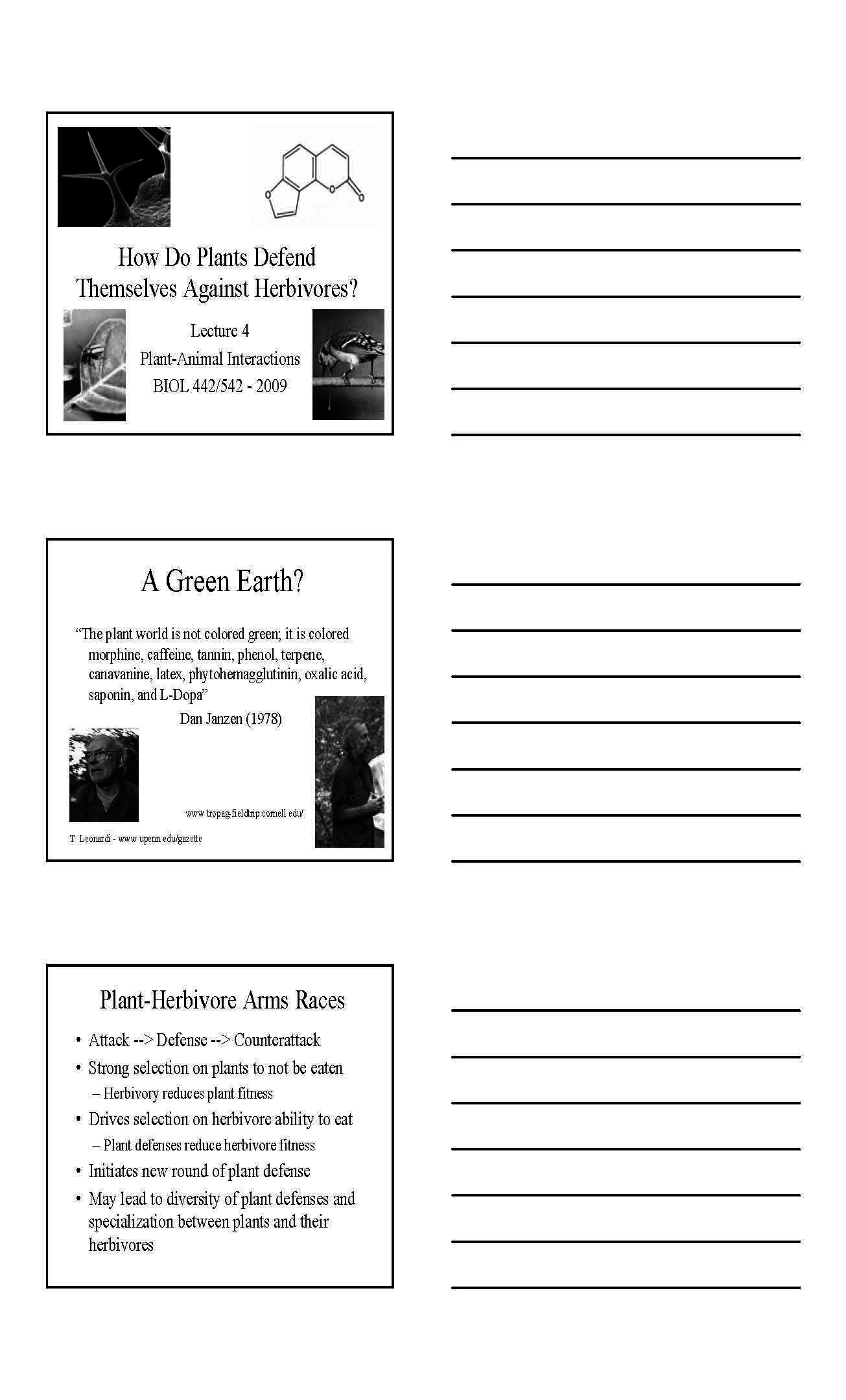 PLANT ANIMAL INTERACTIONS