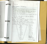 Lecture 6: Non-human primates