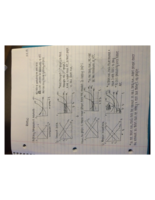 Final Exam Review