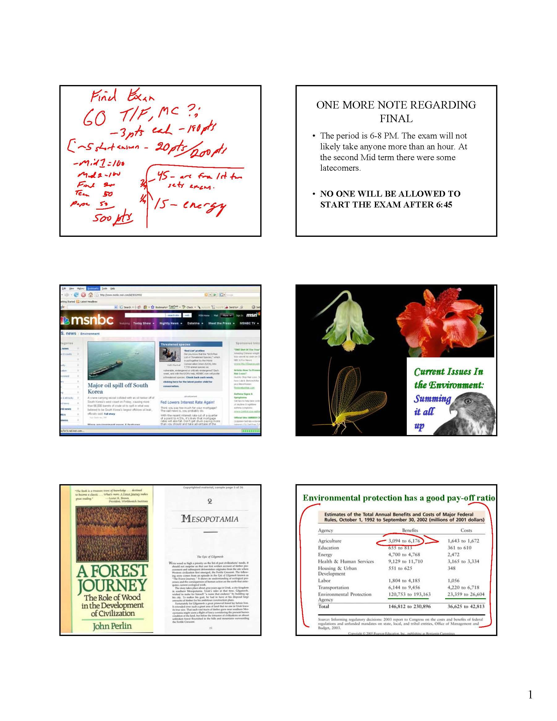 Current Issues Environ