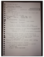 American Literature Notes 