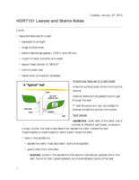 HORT 101 Leaves and Stems Notes