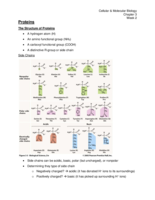 Biol160- Week 2 Notes