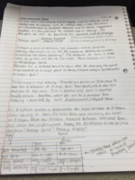 Week 5 Notes