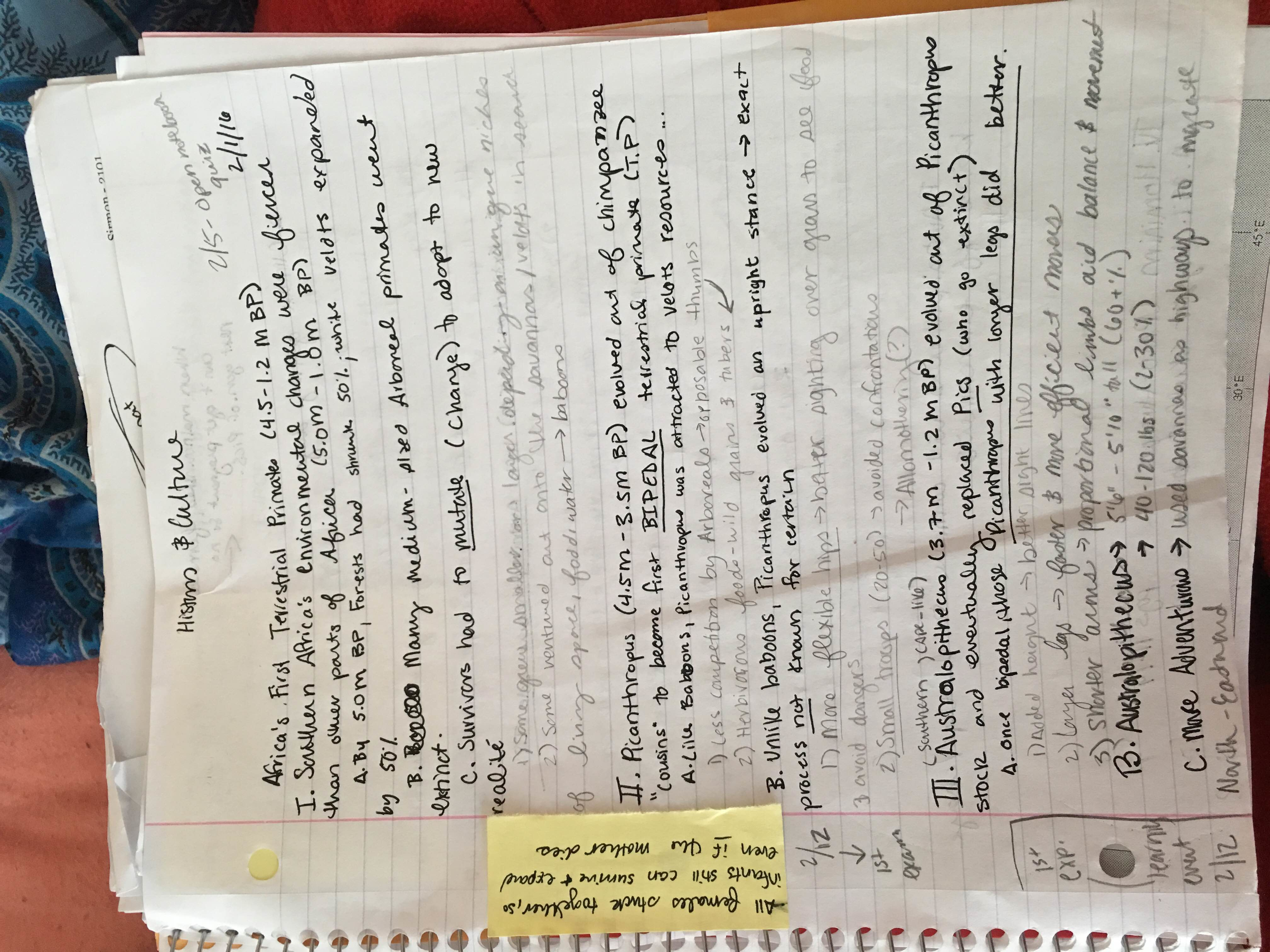 Week 3 Notes History and Culture with Professor Kenneth Chauvin