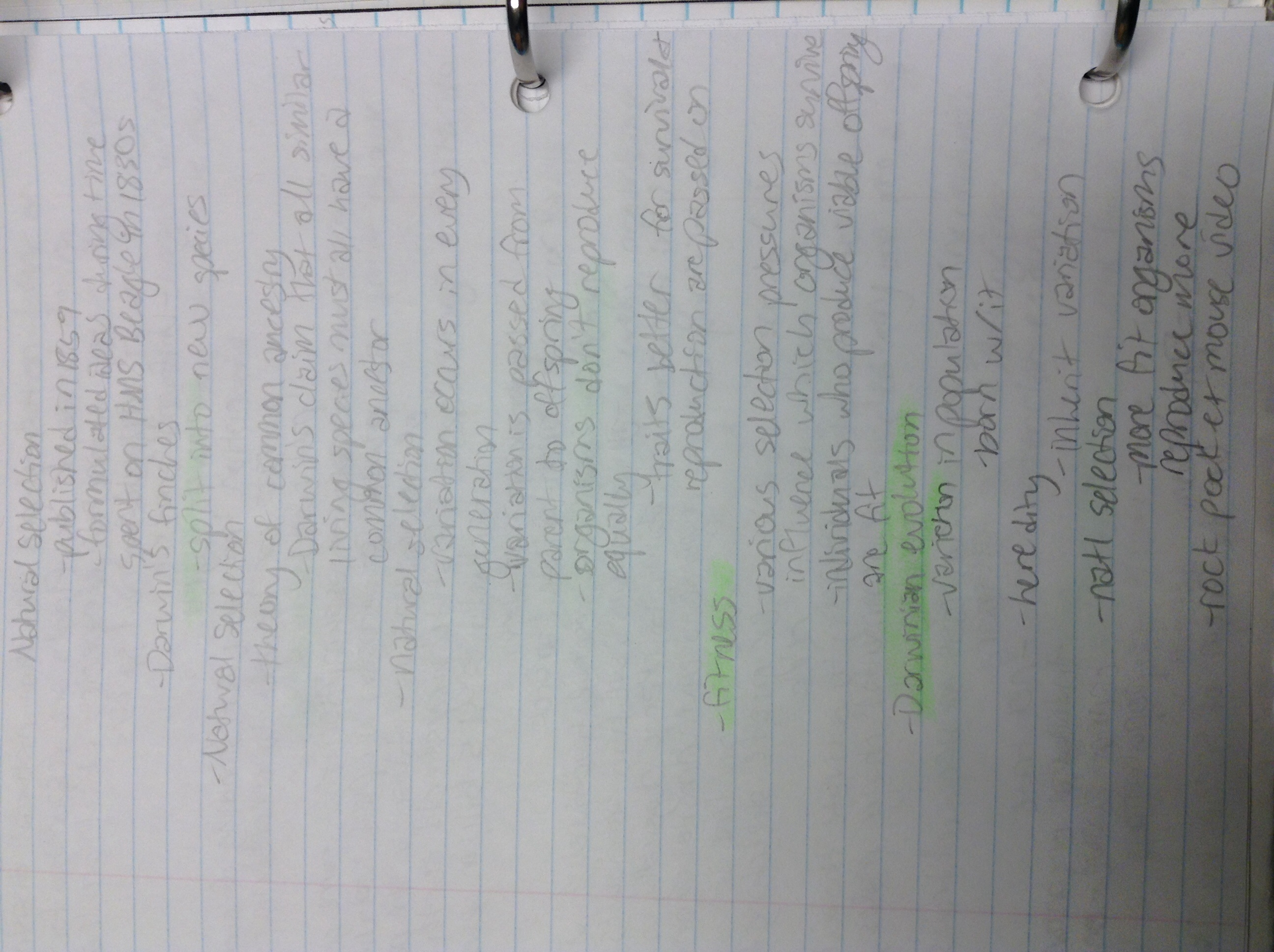 Anthropology notes 9/28-10/7