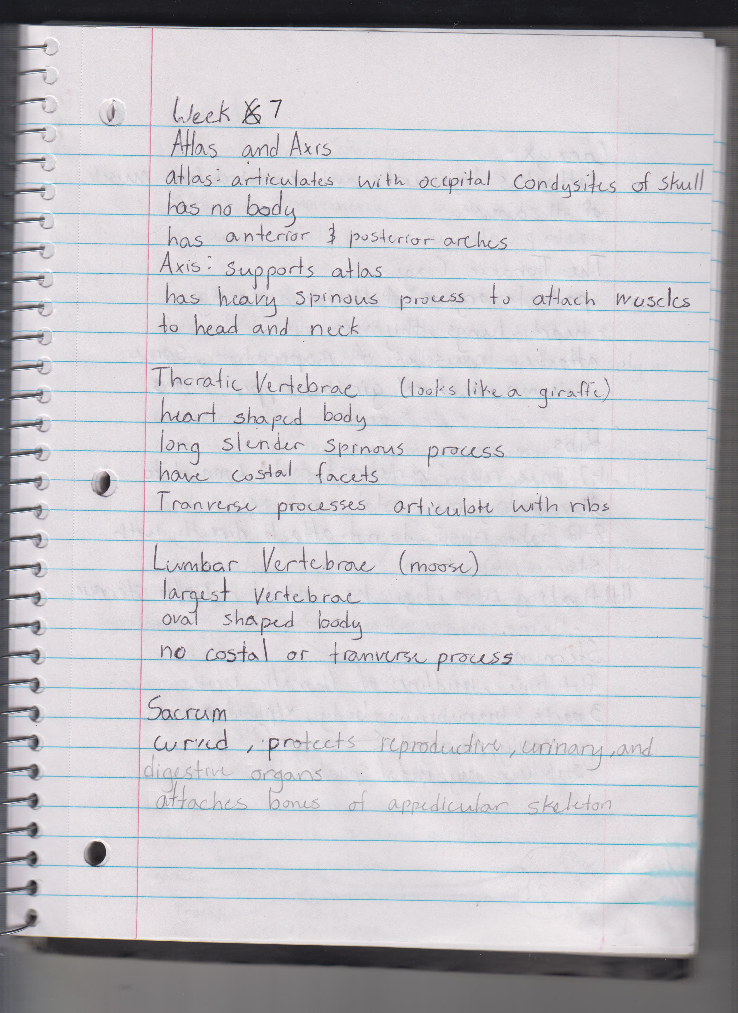 MCB 244: Week 7 Lecture Summary notes