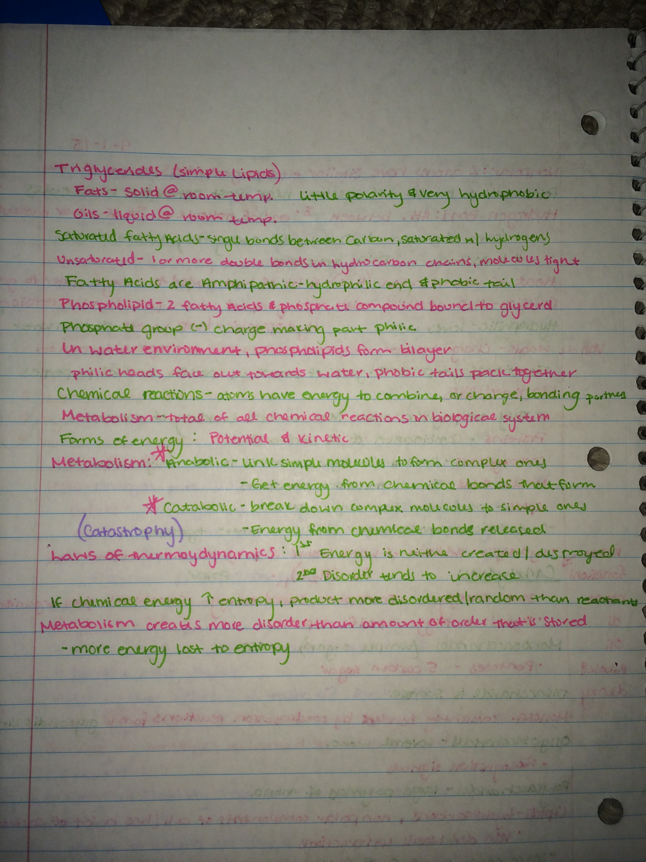 Chapters 2-3