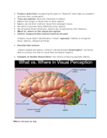 General Pysch. Memory Chapter & Week 7/8 notes