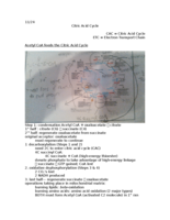 Week 14 Notes