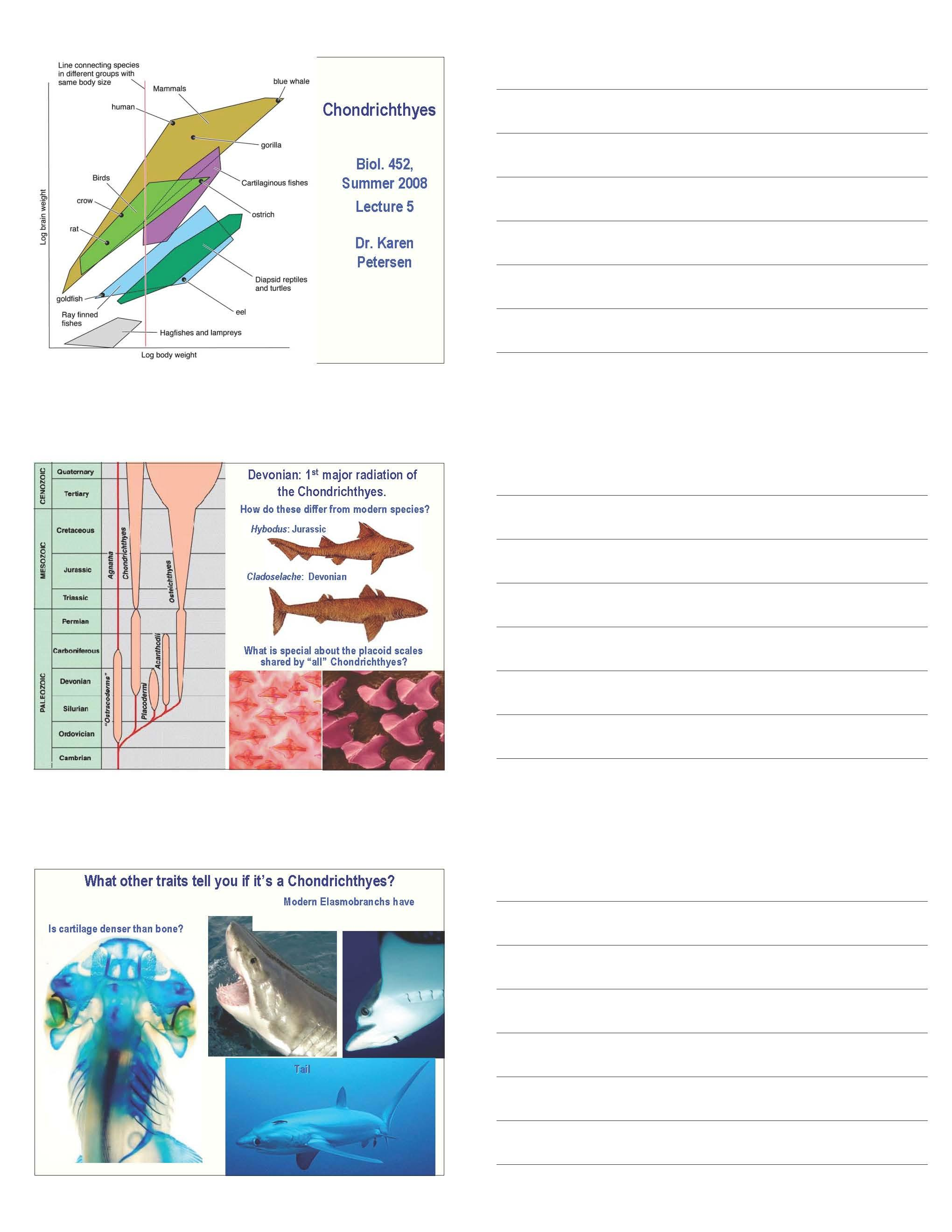 VERTEBRATE ZOOLOGY