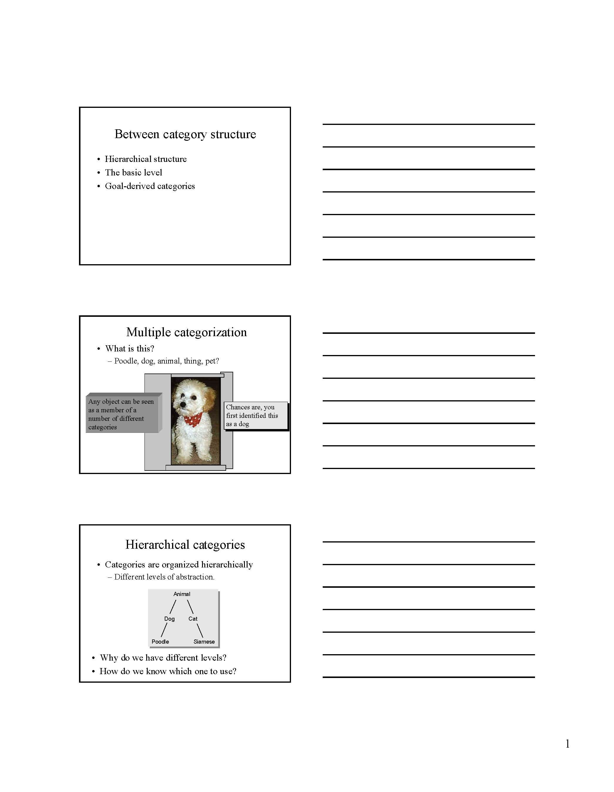 INTRO TO COGNITIVE PSYCHOLOGY