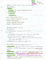 LSM Chapter 13 Notes