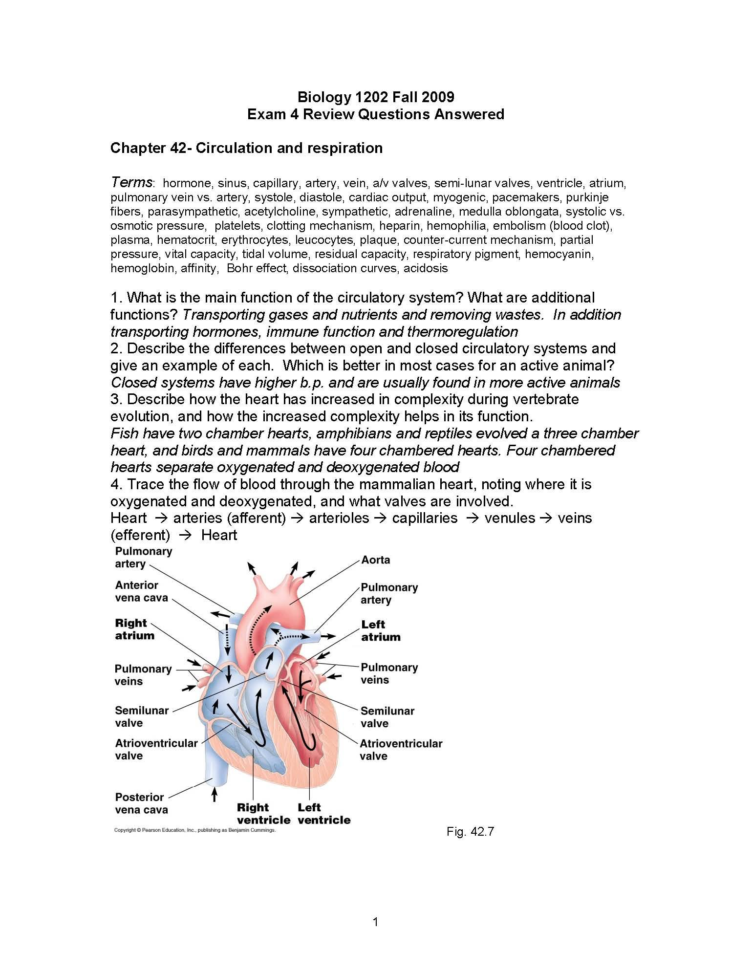 BIOL FOR SCI MAJ II