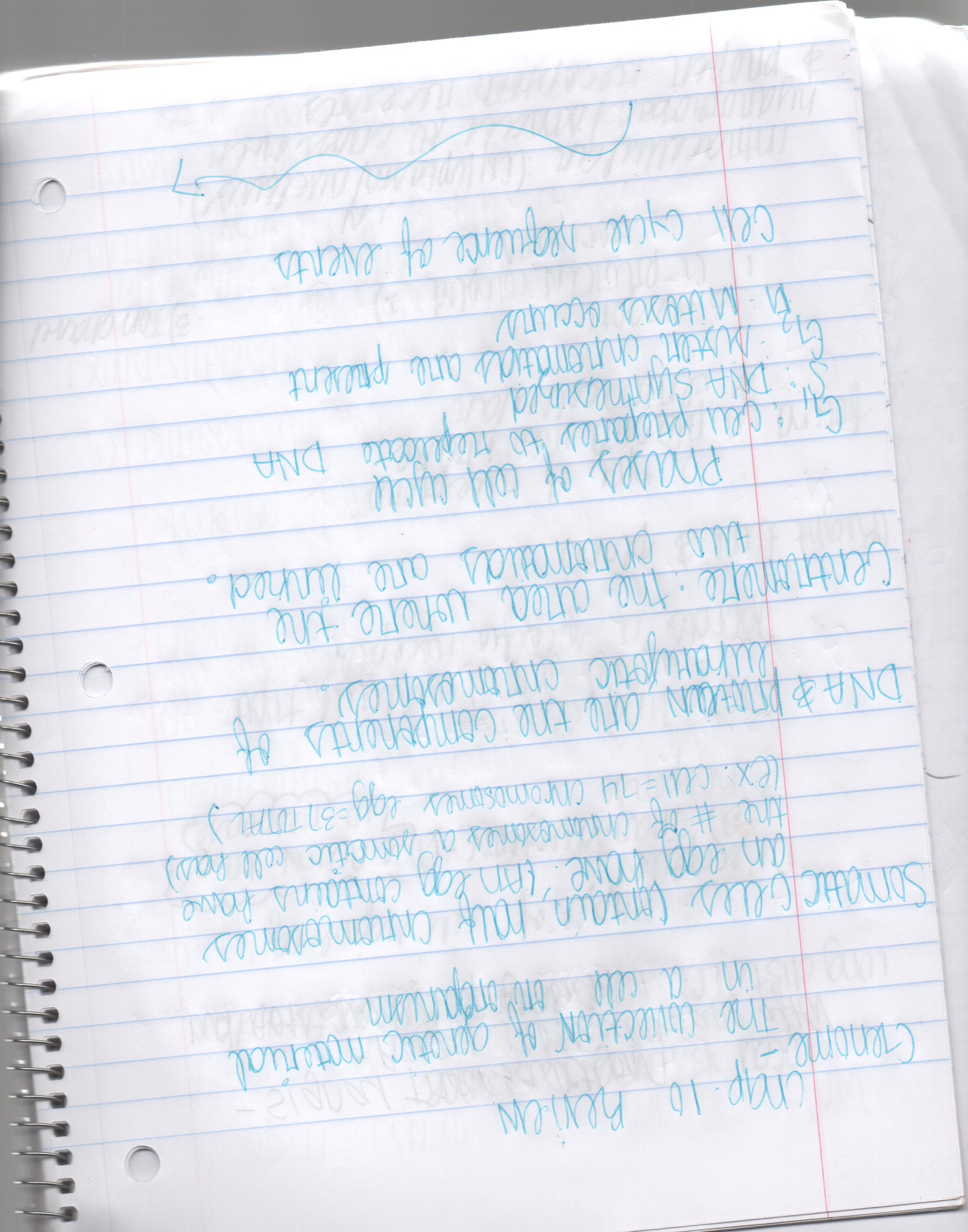 Chapter 10 study guide (homework help)