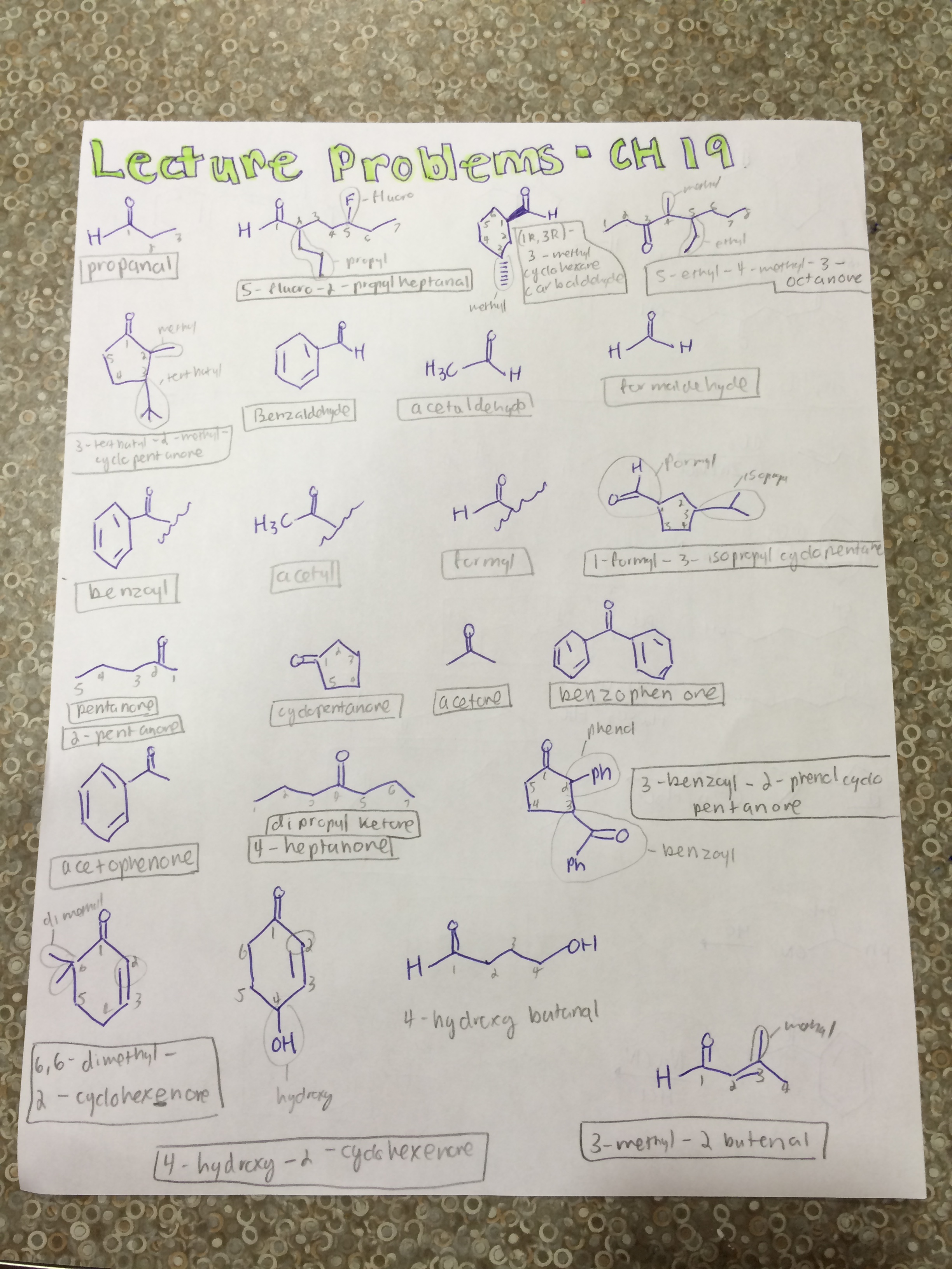 Ch 19 Lecture Problems